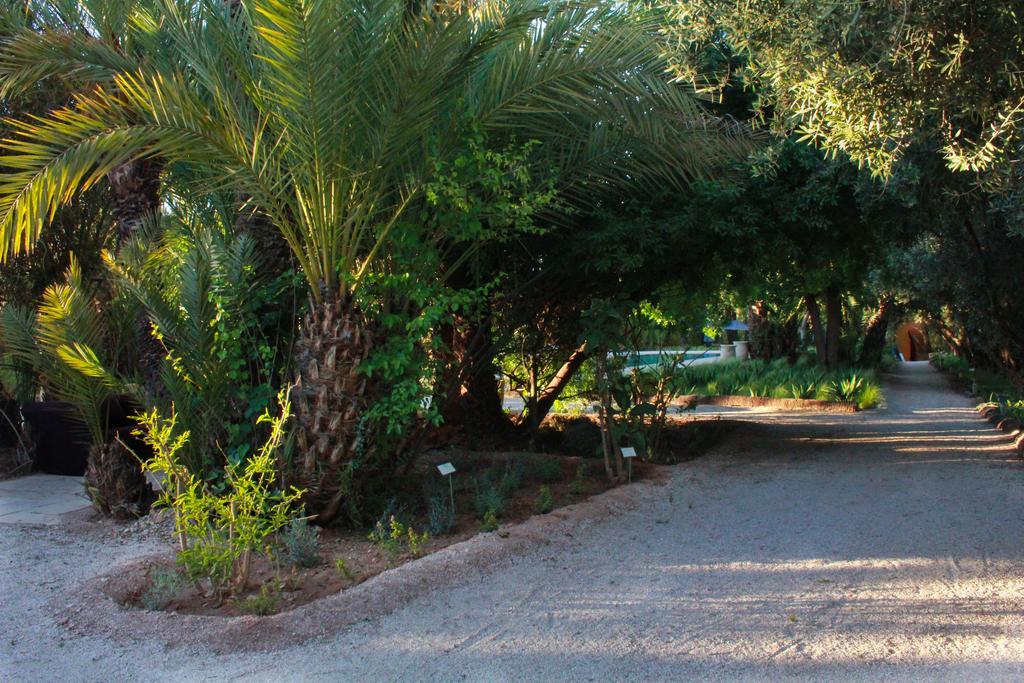 Jnane Tamsna Hotell Marrakesh Eksteriør bilde