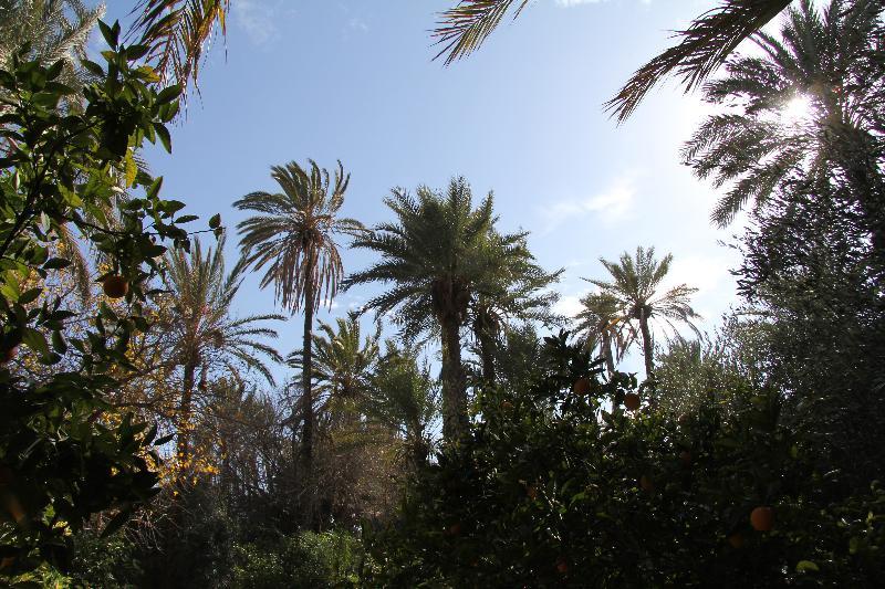 Jnane Tamsna Hotell Marrakesh Eksteriør bilde